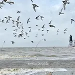Boje 9 Dein Ankerplatz An Der Nordsee 도룸 노이펠트