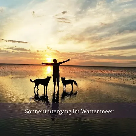 شقة Boje 9 Dein Ankerplatz An Der Nordsee دورم نيوفيلد