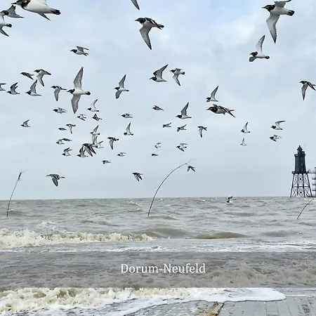 Boje 9 Dein Ankerplatz An Der Nordsee دورم نيوفيلد